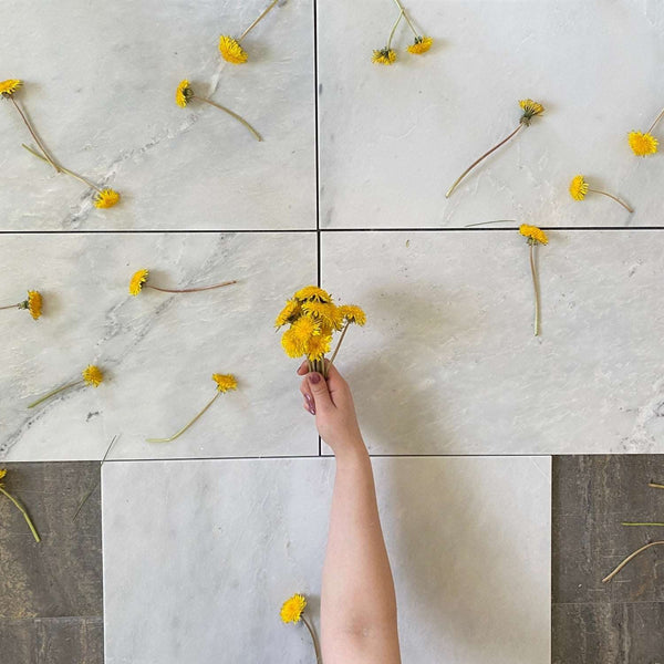 Arabescato Carrara 12x24 Honed Marble Tile $14.99/SF for Kitchen Floor| Online Arabescato Marble Tile| Bathroom Floor Tile| Wall and Floor Tile| White and Grey Marble Floor All Marble Tiles