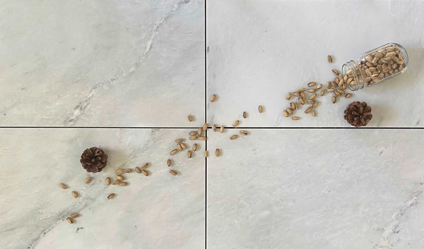 Arabescato Carrara 12x24 Honed Marble Tile $14.99/SF for Kitchen Floor| Online Arabescato Marble Tile| Bathroom Floor Tile| Wall and Floor Tile| White and Grey Marble Floor All Marble Tiles