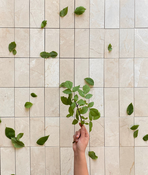 Crema Marfil 3x6 Marble Tile $8.99/SF Honed All Marble Tiles